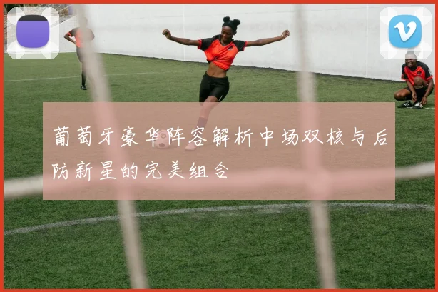 葡萄牙豪华阵容解析中场双核与后防新星的完美组合