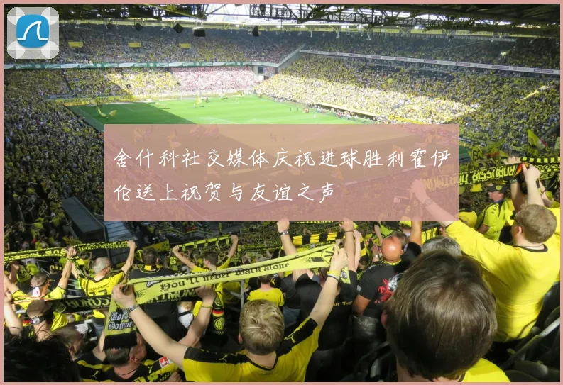 舍什科社交媒体庆祝进球胜利霍伊伦送上祝贺与友谊之声