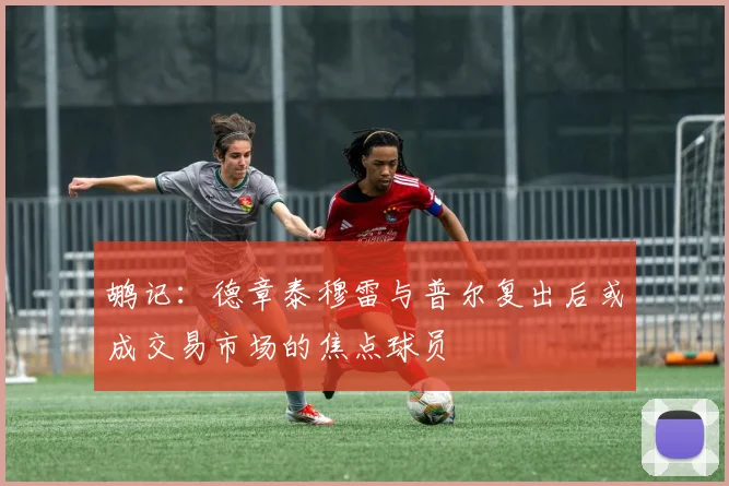 鹕记：德章泰穆雷与普尔复出后或成交易市场的焦点球员