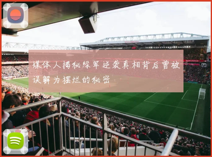 媒体人揭秘绿军逆袭真相背后曾被误解为摆烂的秘密