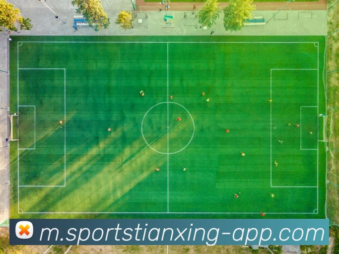 多媒体互动体验